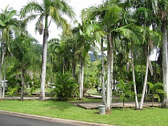 002 Vue de notre bungalow